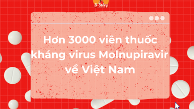 ien-thuoc-khang-virus-molnupiravir